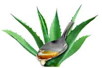 Sirop agave 2